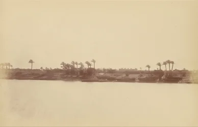 Rives du Nil avec palmiers et bateaux